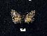  ( - BCSC420)  @13 [ ] Unspecified (default): All Rights Reserved  Unspecified Unspecified