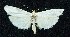  ( - BCSC67)  @14 [ ] Unspecified (default): All Rights Reserved  Unspecified Unspecified