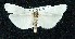  ( - BCSC70)  @13 [ ] Unspecified (default): All Rights Reserved  Unspecified Unspecified