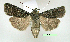  ( - UASM112126)  @14 [ ] Unspecified (default): All Rights Reserved  Unspecified Unspecified