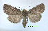  ( - UASM121375)  @14 [ ] Unspecified (default): All Rights Reserved  Unspecified Unspecified