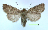  ( - UASM121382)  @13 [ ] Unspecified (default): All Rights Reserved  Unspecified Unspecified