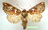  ( - UASM128703)  @14 [ ] Unspecified (default): All Rights Reserved  Unspecified Unspecified