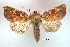  ( - UASM128722)  @13 [ ] Unspecified (default): All Rights Reserved  Unspecified Unspecified