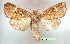  ( - UASM128725)  @12 [ ] Unspecified (default): All Rights Reserved  Unspecified Unspecified
