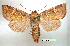  ( - UASM128728)  @13 [ ] Unspecified (default): All Rights Reserved  Unspecified Unspecified