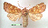  ( - UASM128729)  @13 [ ] Unspecified (default): All Rights Reserved  Unspecified Unspecified