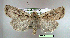  ( - UASM34734)  @13 [ ] Unspecified (default): All Rights Reserved  Unspecified Unspecified