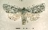  ( - UASM41373)  @14 [ ] Unspecified (default): All Rights Reserved  Unspecified Unspecified