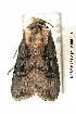 ( - UASM41684)  @12 [ ] Unspecified (default): All Rights Reserved  Unspecified Unspecified
