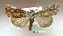  ( - UASM57324)  @14 [ ] Unspecified (default): All Rights Reserved  Unspecified Unspecified