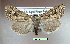  ( - UASM57369)  @14 [ ] Unspecified (default): All Rights Reserved  Unspecified Unspecified
