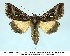  ( - UASM58487)  @14 [ ] Unspecified (default): All Rights Reserved  Unspecified Unspecified