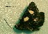  ( - UASM58552)  @13 [ ] Unspecified (default): All Rights Reserved  Unspecified Unspecified