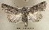  ( - UASM58742)  @14 [ ] Unspecified (default): All Rights Reserved  Unspecified Unspecified