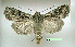  ( - UASM59973)  @14 [ ] Unspecified (default): All Rights Reserved  Unspecified Unspecified