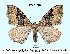  ( - UASM77813)  @14 [ ] Unspecified (default): All Rights Reserved  Unspecified Unspecified