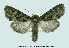  ( - UASM77895)  @13 [ ] Unspecified (default): All Rights Reserved  Unspecified Unspecified