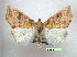  ( - UASM99553)  @14 [ ] Unspecified (default): All Rights Reserved  Unspecified Unspecified