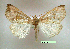  ( - UASM99700)  @14 [ ] Unspecified (default): All Rights Reserved  Unspecified Unspecified