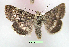  ( - UASM99708)  @12 [ ] Unspecified (default): All Rights Reserved  Unspecified Unspecified
