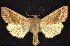  ( - CNCNoctuoidea6306)  @13 [ ] Unspecified (default): All Rights Reserved  Unspecified Unspecified