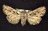  ( - CNCNoctuoidea6353)  @13 [ ] Unspecified (default): All Rights Reserved  Unspecified Unspecified