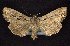  ( - CNCNoctuoidea6354)  @14 [ ] Unspecified (default): All Rights Reserved  Unspecified Unspecified
