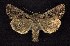  ( - CNCNoctuoidea6356)  @14 [ ] Unspecified (default): All Rights Reserved  Unspecified Unspecified