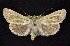  ( - CNCNoctuoidea6402)  @14 [ ] Unspecified (default): All Rights Reserved  Unspecified Unspecified