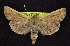  ( - CNCNoctuoidea6427)  @14 [ ] Unspecified (default): All Rights Reserved  Unspecified Unspecified