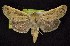  ( - CNCNoctuoidea6428)  @14 [ ] Unspecified (default): All Rights Reserved  Unspecified Unspecified
