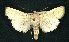  ( - CNCNoctuoidea6473)  @14 [ ] Unspecified (default): All Rights Reserved  Unspecified Unspecified