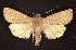  ( - CNCNoctuoidea6545)  @13 [ ] Unspecified (default): All Rights Reserved  Unspecified Unspecified