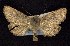  ( - CNCNoctuoidea6636)  @13 [ ] Unspecified (default): All Rights Reserved  Unspecified Unspecified