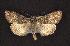  ( - CNCNoctuoidea6746)  @14 [ ] Unspecified (default): All Rights Reserved  Unspecified Unspecified