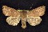  ( - CNCNoctuoidea6819)  @14 [ ] Unspecified (default): All Rights Reserved  Unspecified Unspecified