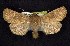  ( - CNCNoctuoidea6820)  @14 [ ] Unspecified (default): All Rights Reserved  Unspecified Unspecified