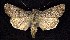  ( - CNCNoctuoidea7414)  @13 [ ] Unspecified (default): All Rights Reserved  Unspecified Unspecified
