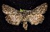  ( - CNCNoctuoidea7416)  @14 [ ] Unspecified (default): All Rights Reserved  Unspecified Unspecified
