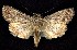  ( - CNCNoctuoidea7419)  @13 [ ] Unspecified (default): All Rights Reserved  Unspecified Unspecified