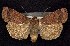  ( - CNCNoctuoidea7541)  @14 [ ] Unspecified (default): All Rights Reserved  Unspecified Unspecified