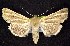  ( - CNCNoctuoidea7555)  @12 [ ] Unspecified (default): All Rights Reserved  Unspecified Unspecified