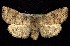  ( - CNCNoctuoidea7577)  @14 [ ] Unspecified (default): All Rights Reserved  Unspecified Unspecified