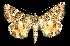  ( - CNCNoctuoidea7593)  @13 [ ] Unspecified (default): All Rights Reserved  Unspecified Unspecified