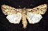  ( - CNCNoctuoidea7603)  @14 [ ] Unspecified (default): All Rights Reserved  Unspecified Unspecified