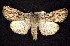  ( - CNCNoctuoidea7604)  @13 [ ] Unspecified (default): All Rights Reserved  Unspecified Unspecified