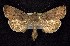  ( - CNCNoctuoidea7640)  @14 [ ] Unspecified (default): All Rights Reserved  Unspecified Unspecified