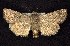  ( - CNCNoctuoidea7670)  @13 [ ] Unspecified (default): All Rights Reserved  Unspecified Unspecified