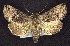  ( - CNCNoctuoidea7679)  @14 [ ] Unspecified (default): All Rights Reserved  Unspecified Unspecified